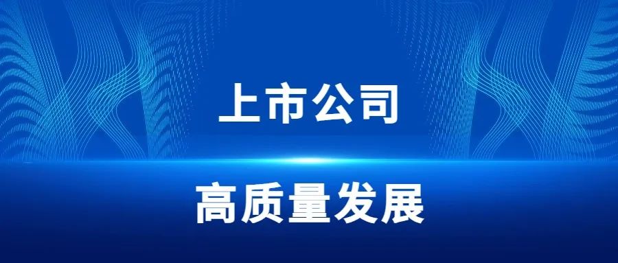 上海市副市長解冬一行蒞臨華勤技術調研｜共話上市公司高質量發展新篇章